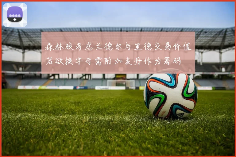 森林狼考虑兰德尔与里德交易价值若欲换字母需附加麦丹作为筹码
