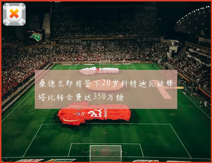 桑德兰即将签下20岁科特迪瓦边锋塔比转会费达350万镑